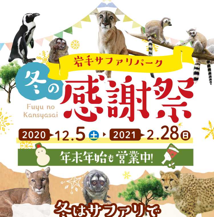 冬の感謝祭