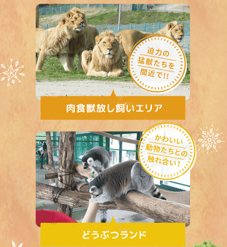 冬の感謝祭