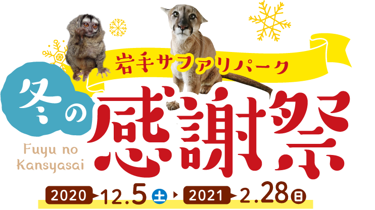 冬の感謝祭