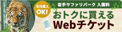 当日購入OK! おトクに買えるWebチケット