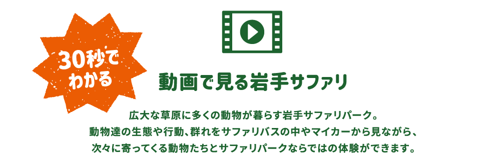 30秒でわかる動画で見る岩手サファリ