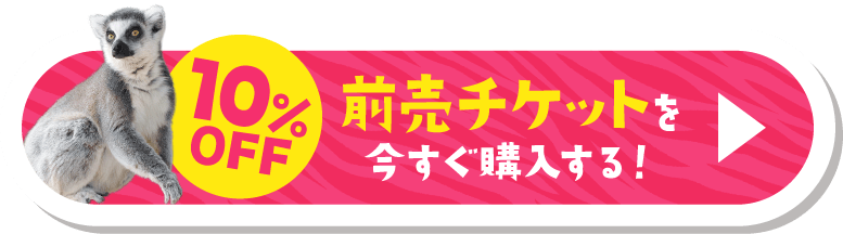 10%OFF 前売チケットを今すぐ購入する！