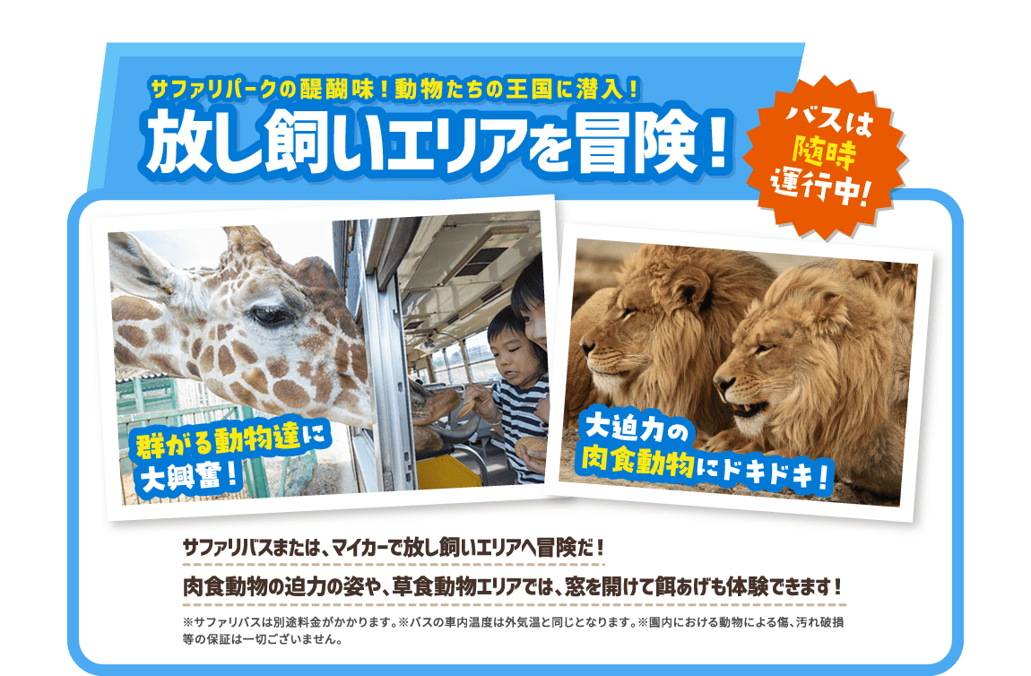 放し飼いエリアを冒険！