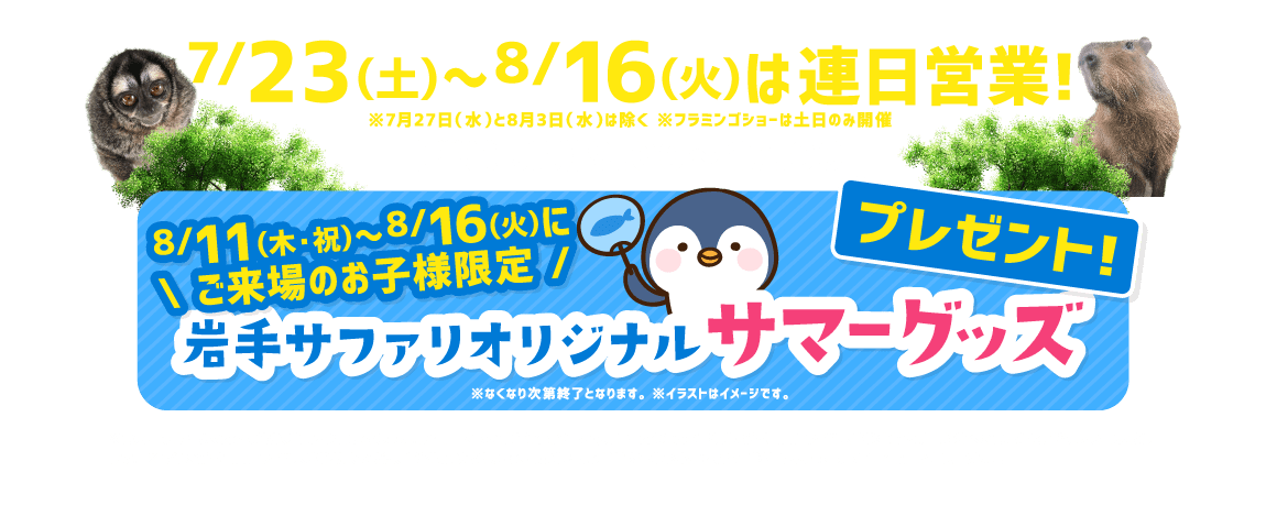 7/23(土)〜8/16(火)は連日営業! 8/11(木・祝)〜8/16(火)にご来場のお子様限定岩手サファリオリジナルサマーグッズプレゼント！