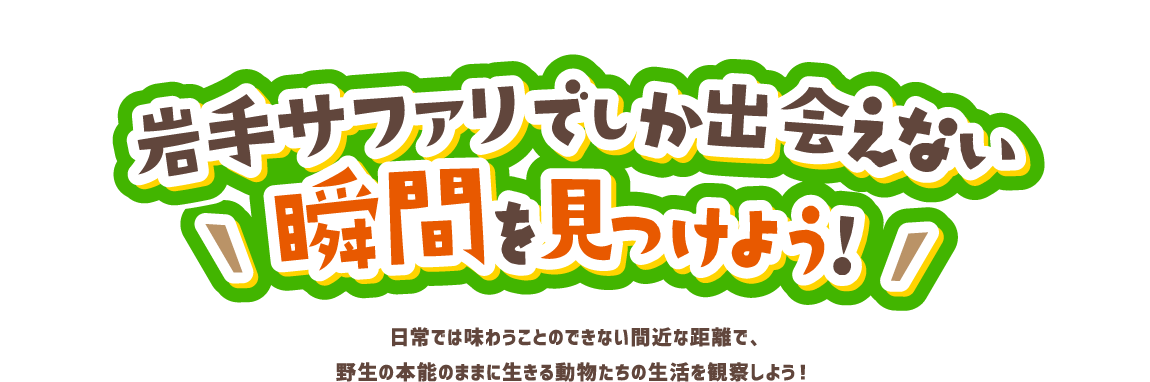 岩手サファリでしか出会えない瞬間を見つけよう！