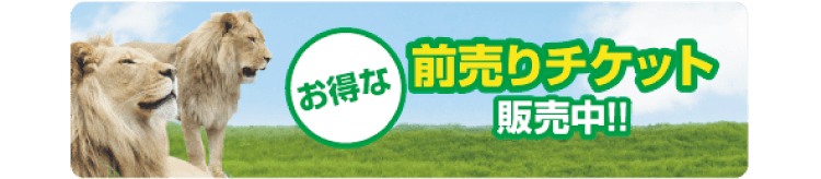 お得な前売りチケット販売中!!