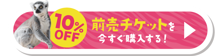 10%OFF 前売チケットを今すぐ購入する！