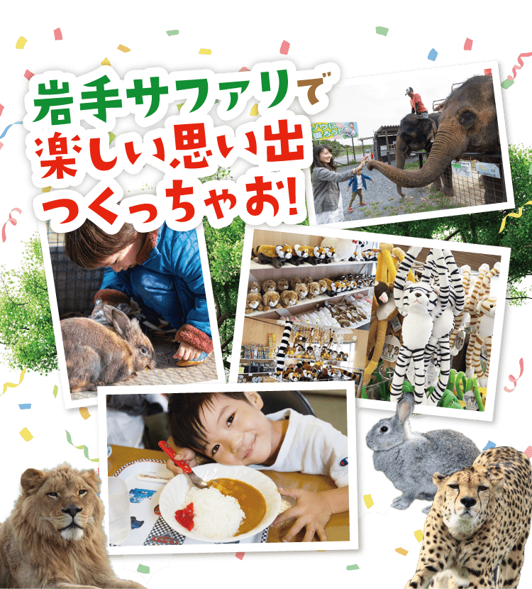 岩手サファリで楽しい夏の思い出をつくりませんか？