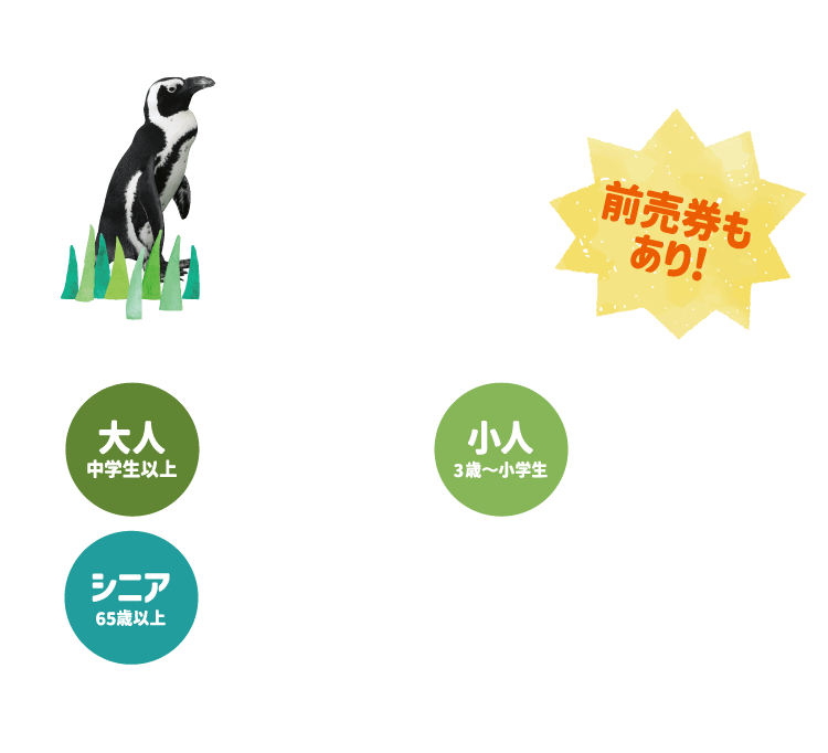 前売券もあり! 大人中学生以上2,700円 小人3歳〜小学生1,500円 シニア65歳以上1,500円