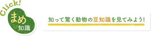 知って驚く動物の豆知識を見てみよう