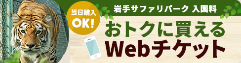 お得な前売りチケット